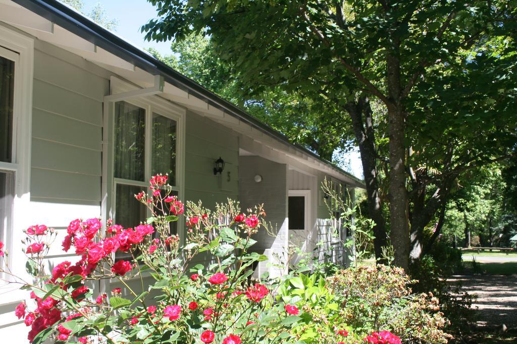 Elm Lodge Bright Kültér fotó